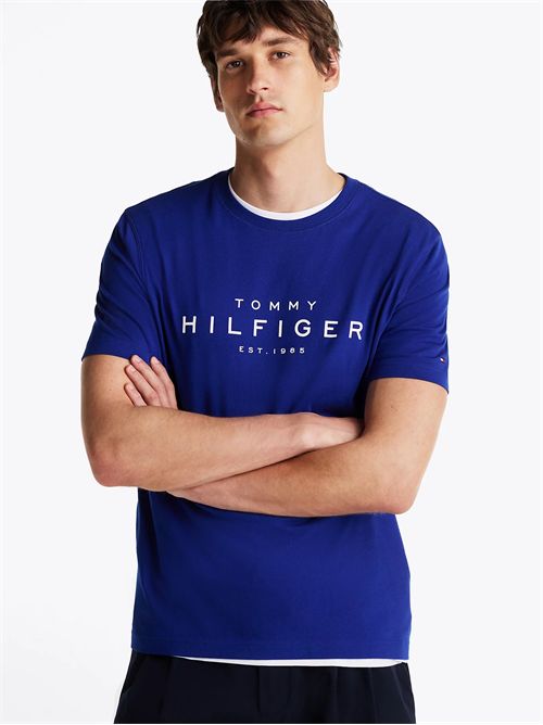 t-shirt man blue TOMMY HILFIGER | MW0MW37448D03